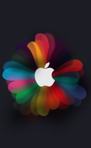 Apple 4